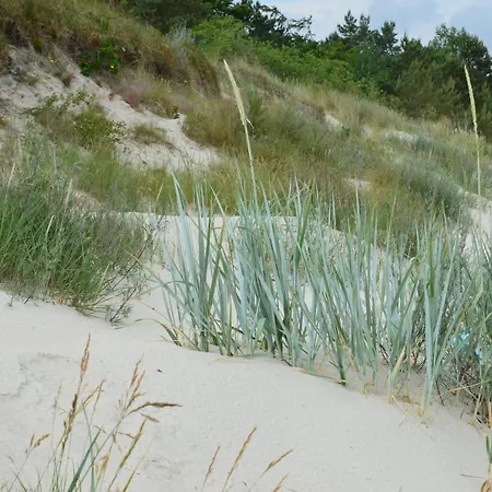 شقة Marzen غجيبوفو