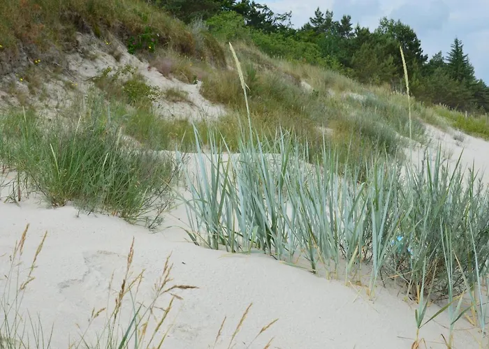 アパート Marzen グジボボ